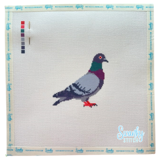 Pigeon