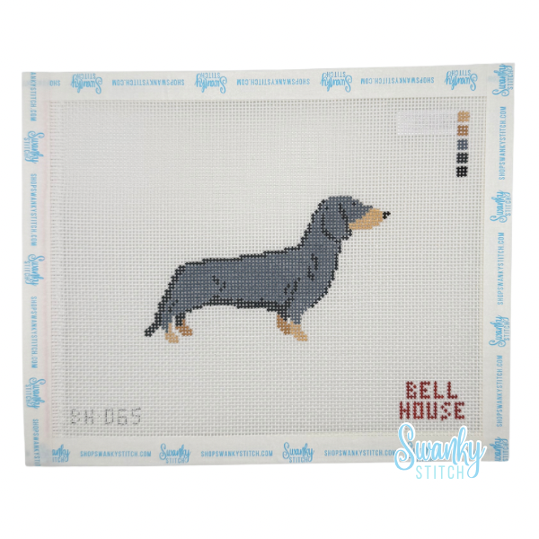 Dachshund- Black & Tan