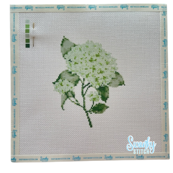 Green Hydrangea