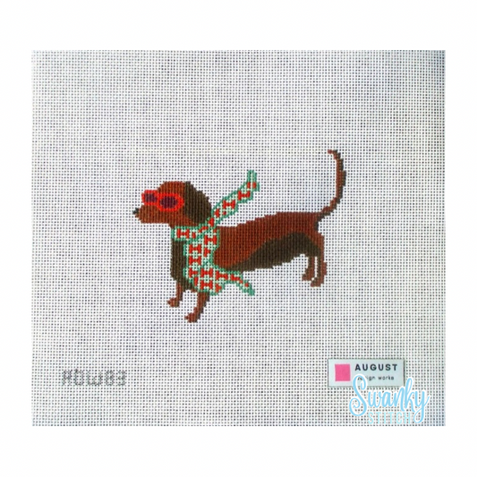 Bougie Dachshund