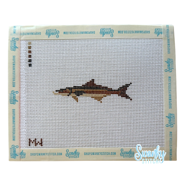 Cobia Mini