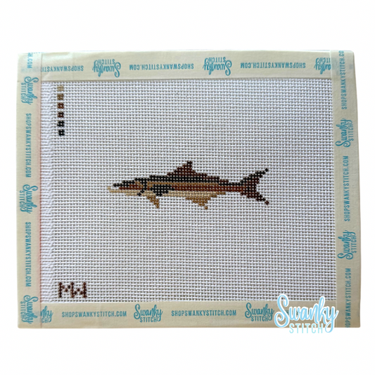 Cobia Mini
