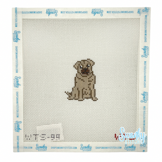 Mini Pug